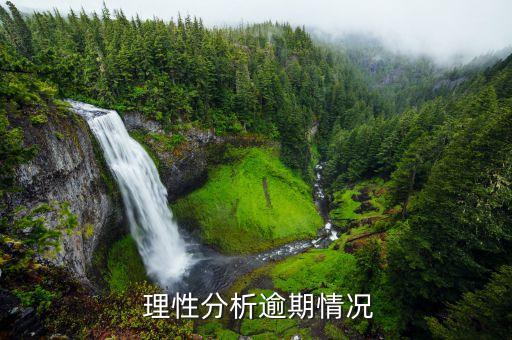 理性分析逾期情况