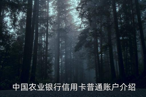 中国农业银行信用卡普通账户介绍