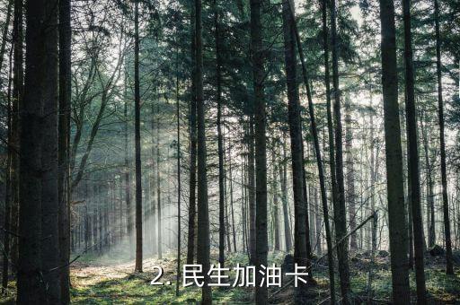 养车用什么信用卡，选择哪张信用卡更省钱养车？