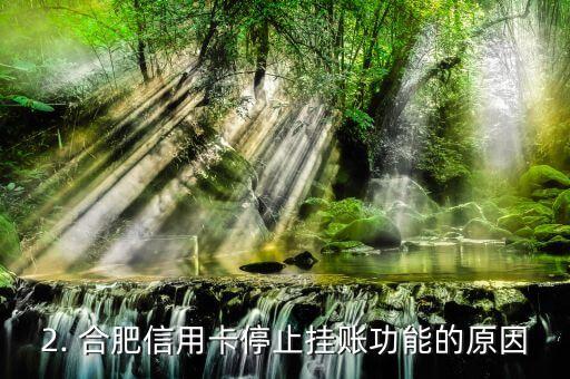 合肥信用卡停息挂账，合肥暂停信用卡挂账功能