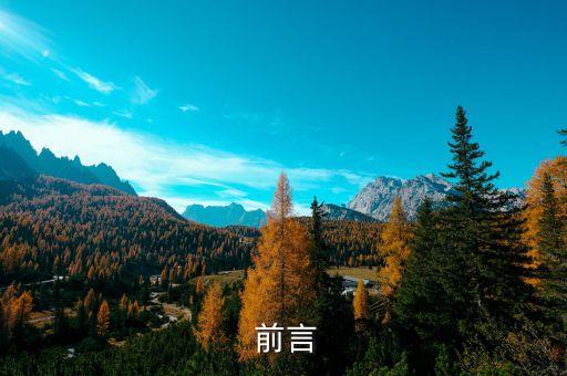 前言