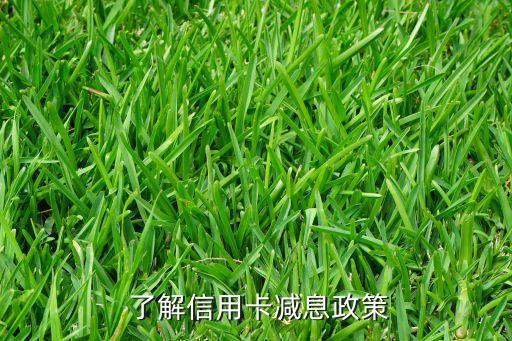 了解信用卡减息政策