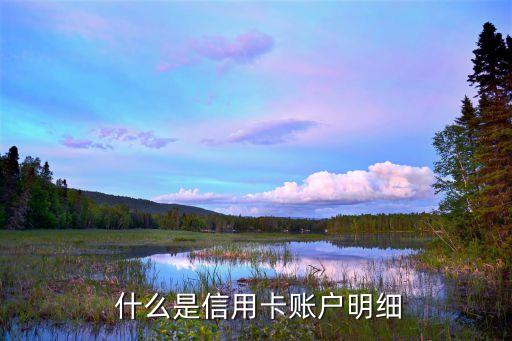 什么是信用卡账户明细