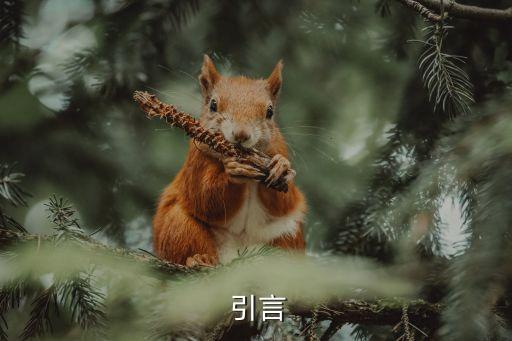 引言