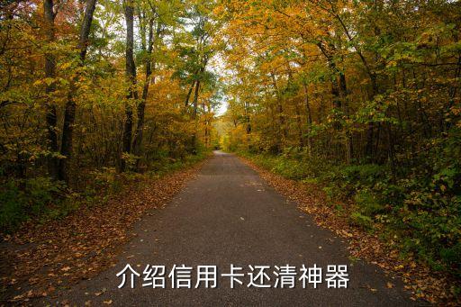 介绍信用卡还清神器