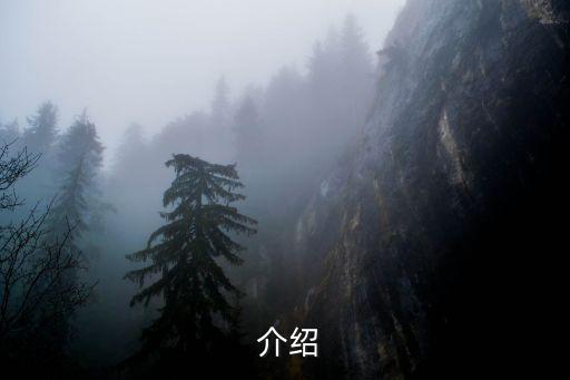 介绍