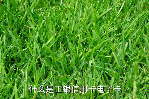 什么是工银信用卡电子卡