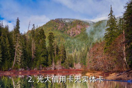 光大信用卡没有实卡，光大信用卡无实体卡