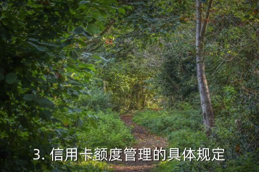 信用卡额度管理办法，信用卡额度管理规定重新整合，给你梳理。