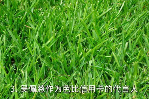 吴佩慈芭比信用卡，吴佩慈与芭比信用卡的故事