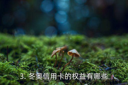 工商冬奥信用卡申请，工商银行推出冬奥信用卡申请服务