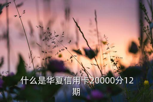 什么是华夏信用卡20000分12期