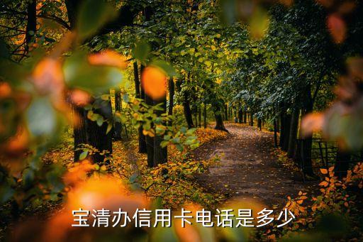 宝清办信用卡电话是多少