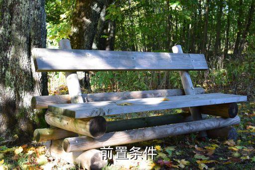 前置条件