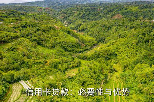 信用卡贷款:必要性与优势
