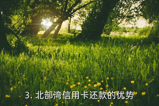 北部湾信用卡还款，北部湾信用卡还款：高效便捷的财务管理方式