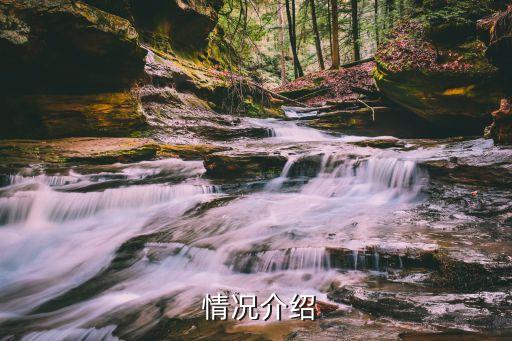 情况介绍