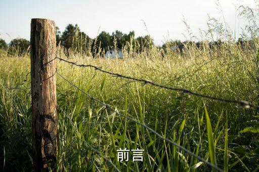 前言