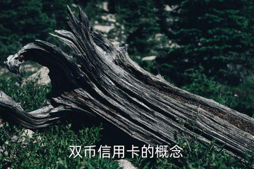 双币信用卡的概念
