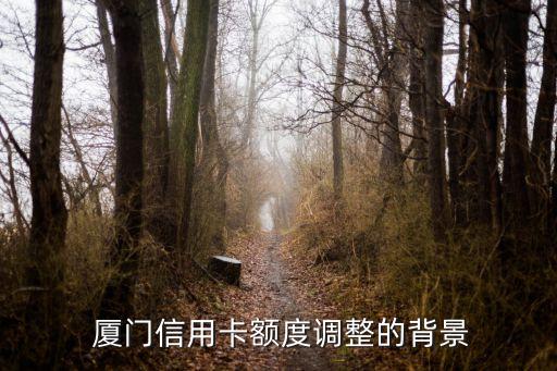 厦门信用卡额度调整的背景