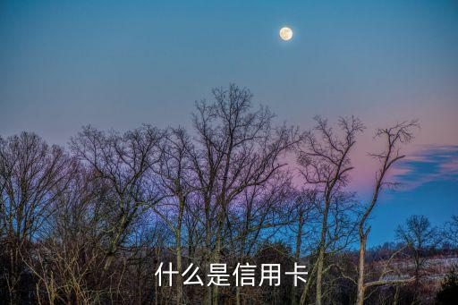 什么是信用卡