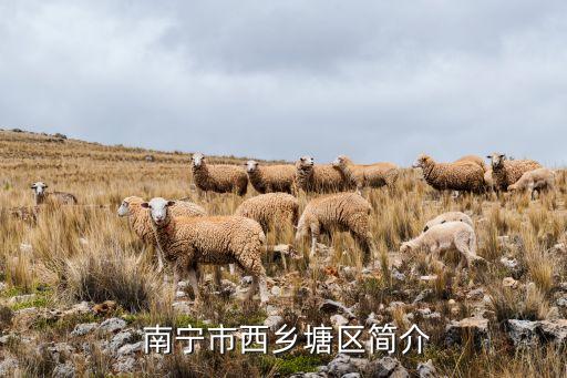 南宁市西乡塘区简介