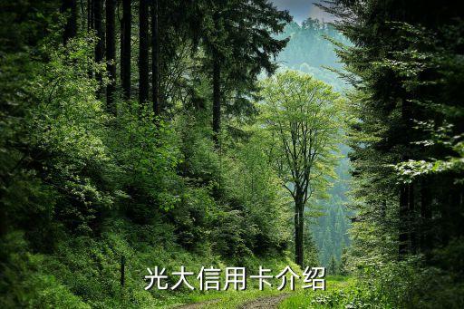 光大信用卡介绍