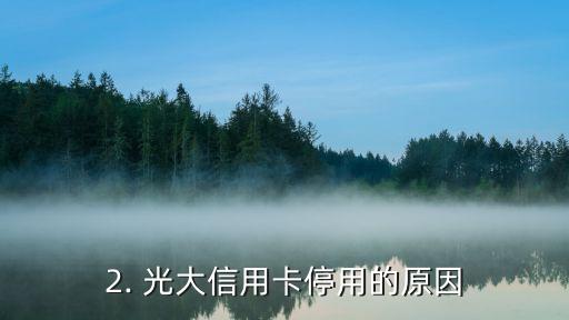 光大信用卡已停用，光大信用卡停用，为顾客提供其他选择