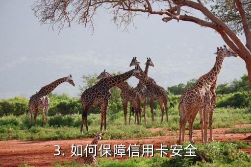 出国信用卡，出境旅行必备：信用卡攻略