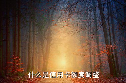信用卡tx，信用卡 TX 改写为新标题：信用卡额度调整