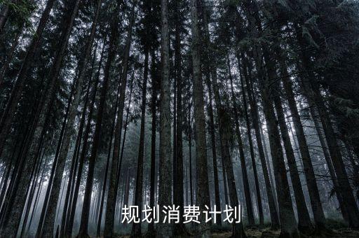 规划消费计划