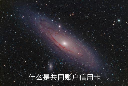 共同账户的信用卡，共同账户：信用卡的分享经济模式