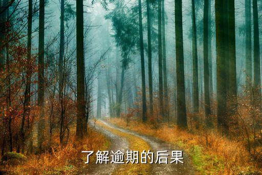 了解逾期的后果