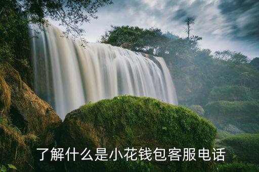 了解什么是小花钱包客服电话