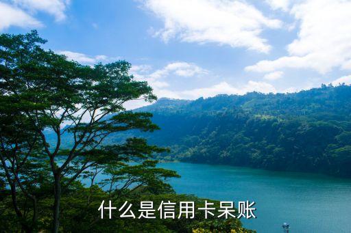 什么是信用卡呆账