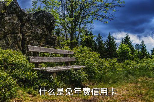 什么是免年费信用卡