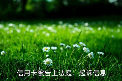 信用卡被告上法庭:起诉信息