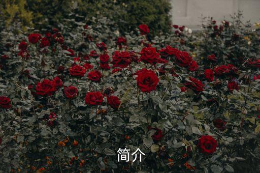 简介