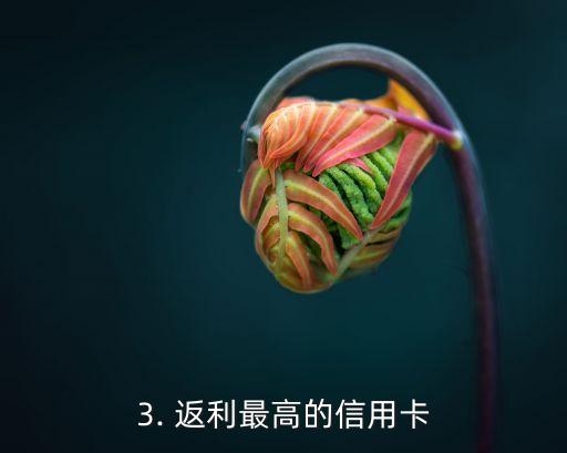 信用卡哪家返点多，信用卡哪家返利最高