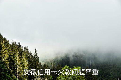 安徽信用卡欠款问题严重