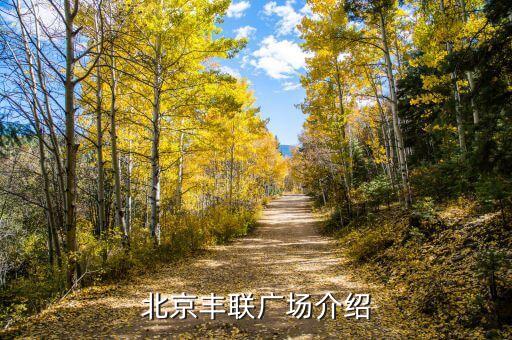 北京丰联广场介绍