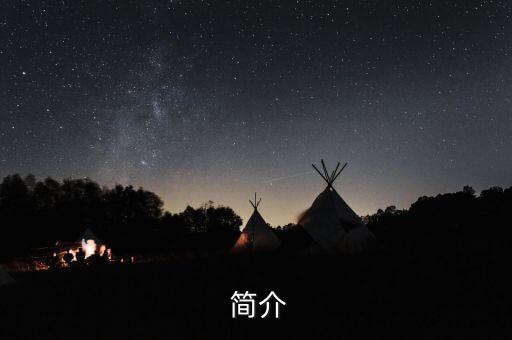 简介