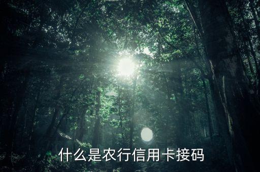 什么是农行信用卡接码
