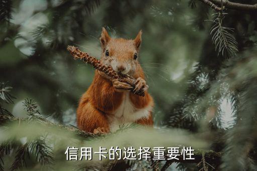 信用卡的选择重要性