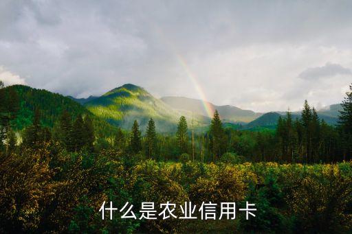 什么是农业信用卡