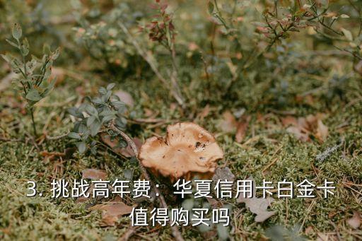 华夏信用卡白金年费，华夏信用卡白金年费：怎样重塑一个新标题？