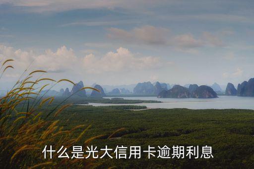 什么是光大信用卡逾期利息