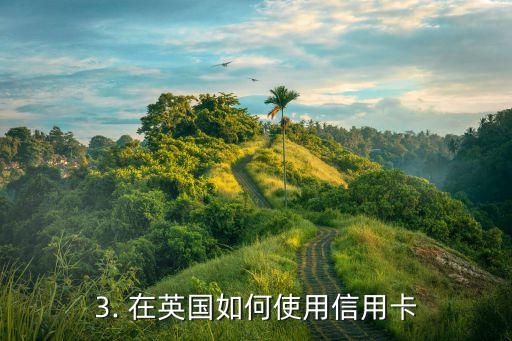 在英国怎么还信用卡，英国如何使用信用卡
