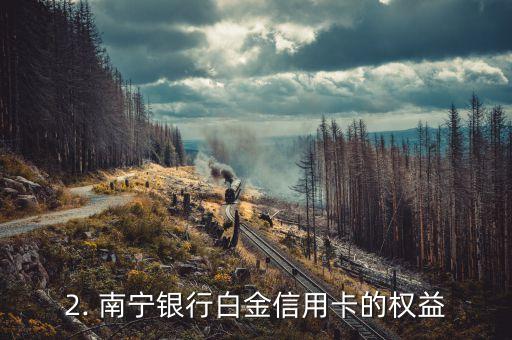 南宁银行白金信用卡，南宁银行推出顶级信用卡