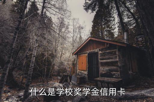 什么是学校奖学金信用卡